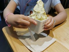 -野人先生现做冰淇淋(北京顺义祥云小镇店)