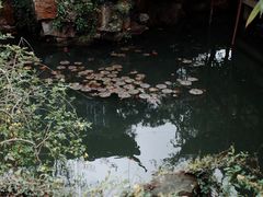 -耦园