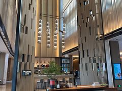 -东方美谷JW万豪酒店·The lounge大堂吧