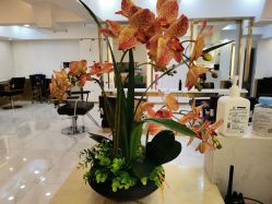 -雅仕 HAIR SALON 美发沙龙