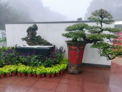 -南山植物园