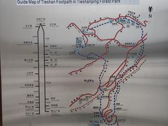 -铁山坪森林公园