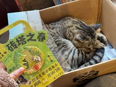 -正阳书局(西四南大街店)