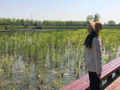 -永定河休闲森林公园