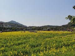-红山村