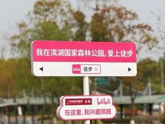 -合肥滨湖国家森林公园