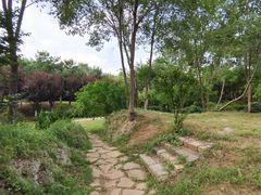 -前关湿地公园
