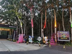 -枫花园汽车电影院(朝阳公园店)