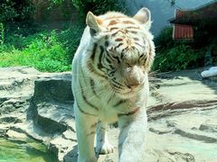 -杭州野生动物世界