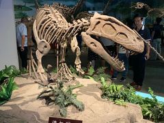 -自贡恐龙博物馆