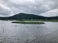 -腾冲北海湿地