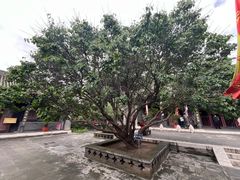 -内蒙古将军衙署博物院