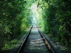 -上海植物园·停车场