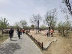 -东郊湿地公园
