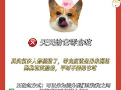 -佩兹宠物医院肿瘤专科·眼科·牙科(黄浦店)
