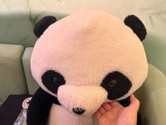 -眉州东坡·熊猫主题餐厅(枫蓝店)