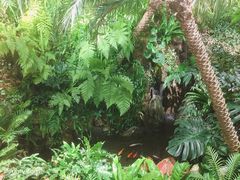 -颐而康·足疗·按摩·艾灸·SPA(金沙北路店)