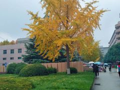 -济南大学-第8食堂