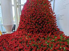 -尚尚仙·酸汤猪手·猪肚鸡火锅(华联万柳购物中心店)