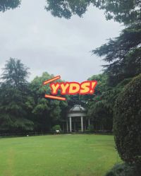 -花园饭店·宴会厅