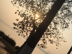 -东湖磨山景区