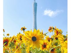 -海心沙亚运公园