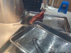 -鸭寨夫人(无锡首店)