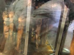 -一代烤翅王(大汉口店)