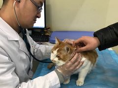 -美迦爱-牙专科·兔科·骨科诊疗中心(北苑店)