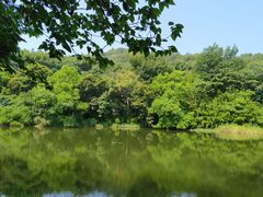 -白马涧龙池景区