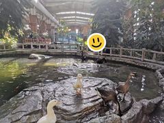 -南宫五洲植物乐园