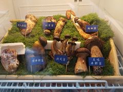 -束河人家(南锣鼓巷店)