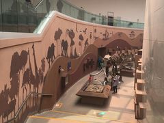 -陕西自然博物馆