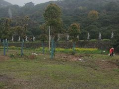 -海宁市观音寺