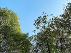 -金鸡湖游船(月光码头)