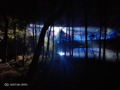 景点-天适樱花悠乐园