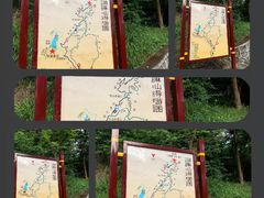 -黄埔油麻山森林公园