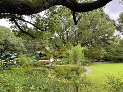 -丁香花园申粤轩·宴会厅