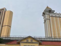 -澳门威尼斯人综合度假区