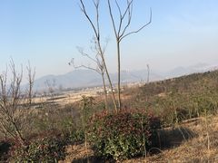 -北京全聚德(王府井店)