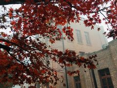 -之江大学-旧址