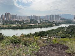 -大亚湾红树林城市湿地公园