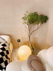 -KONSISTANT科思坦汀问题肌·科技美肤