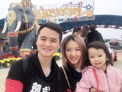 -巨鹏飞梦幻海岸