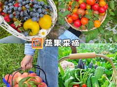 -上海山野camping·户外天幕烧烤·团建拓展营地