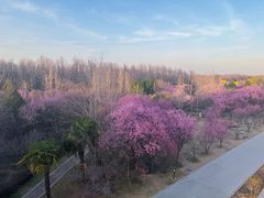 -洛阳市隋唐城遗址植物园