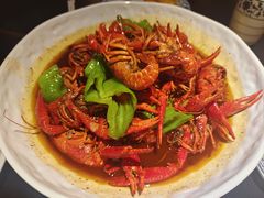 -京悦南门涮羊肉·羊蝎子火锅(田林路店)