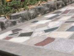 -大屏嶂森林公园