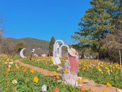 -名花谷生态庄园