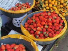 -南坛综合农贸市场